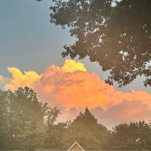 Meet your Posher, Cass